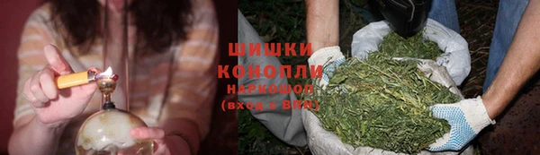 молекула духа Балахна